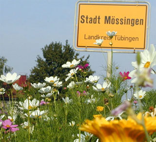 blumenstadtmoessingen